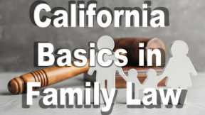 Family Law Basics, Diana Romanovska, Family Law Attorney in San Francisco, California