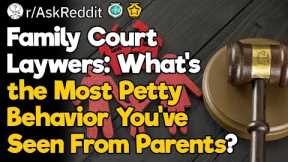 Family Court Lawyers, What’s the Most Petty Behavior You’ve Seen From Parents?