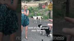 Bail Bond Arrest - That's gonna be a issue #short