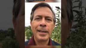 Hows Does a Healthcare Lawyer Differ from a Business Lawyer? #shorts #healthcarelawyer