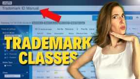 HOW TO CHOOSE A TRADEMARK CLASS! Trademark Lawyer Marcella