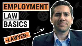 Employment Law for Business Owners, Managers & HR - Avoid Getting Sued