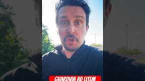 Guardian Ad Litem VS Parent Coordinator in a divorce: Which is better?