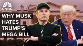 What's In The Big Beautiful Bill And Why Elon Musk Hates It
