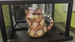 My life as a patent attorney